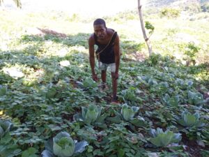 Group of African farmers cultivating crops in a lush field during daytime.